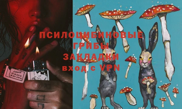 дмт Абаза