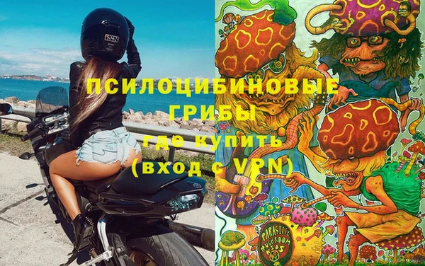 не бодяженный Алзамай