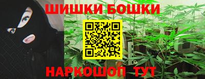 ешки Боровичи