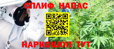 ешки Боровичи