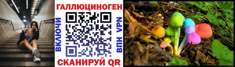 Галлюциногенные грибы GOLDEN TEACHER кракен Анапа закладка