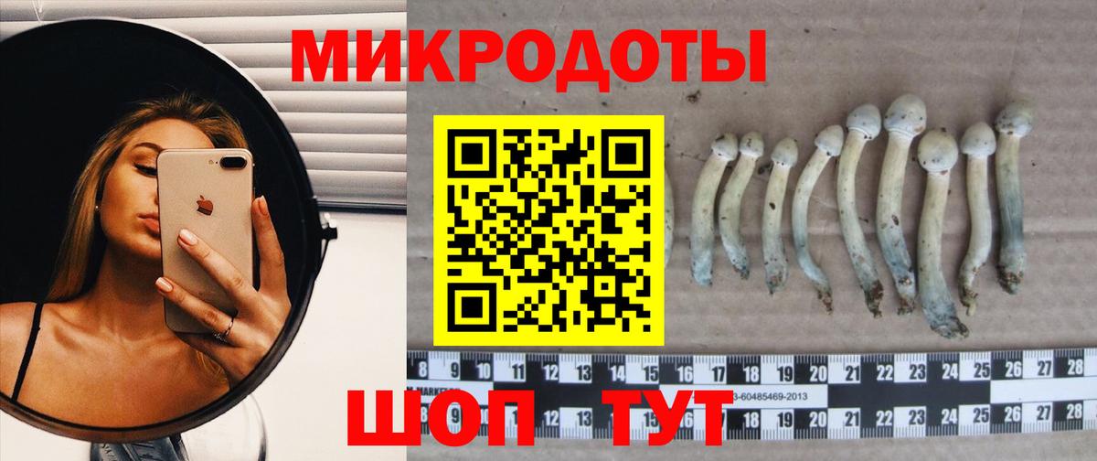 Псилоцибиновые грибы Psilocybe  Вход с VPN  Анапа 