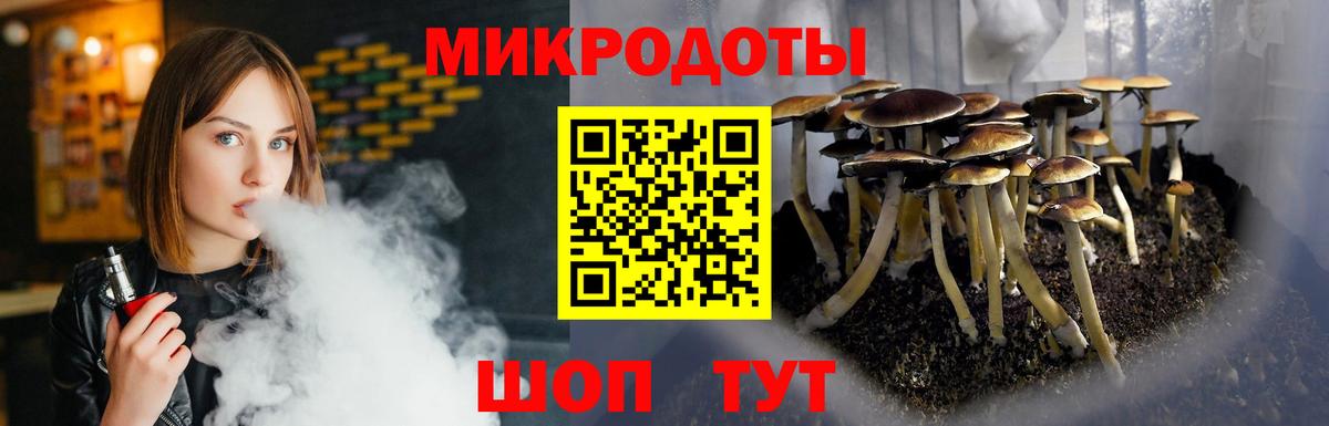 Псилоцибиновые грибы Psilocybe Анапа